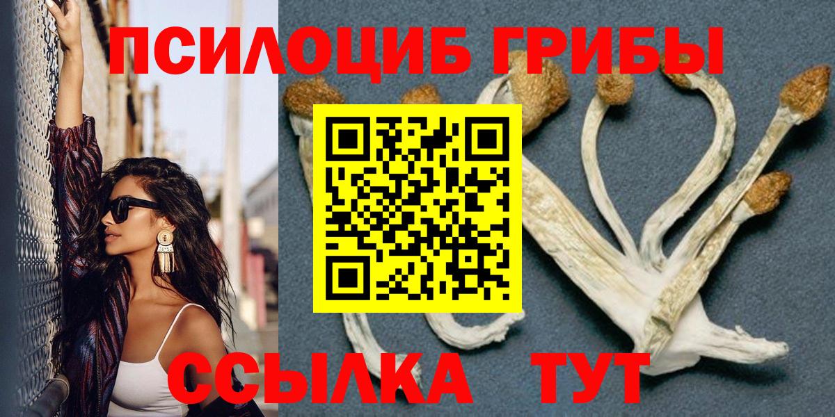 где купить наркоту  Галлюциногенные грибы Psilocybe  Вход с VPN  Нефтекамск 